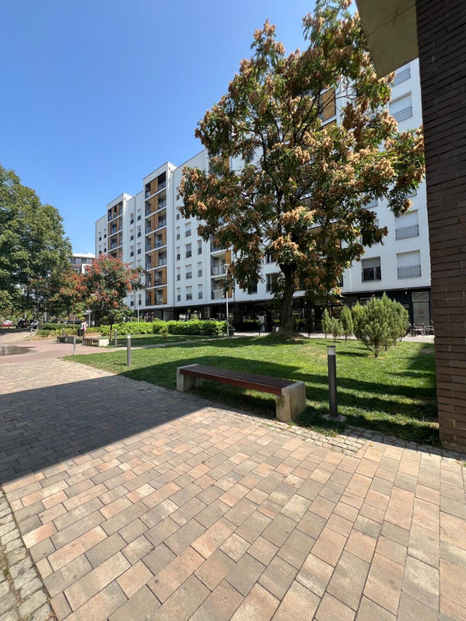 Apartamento Delete 5 - Zemunske Kapije Belgrado Exterior foto